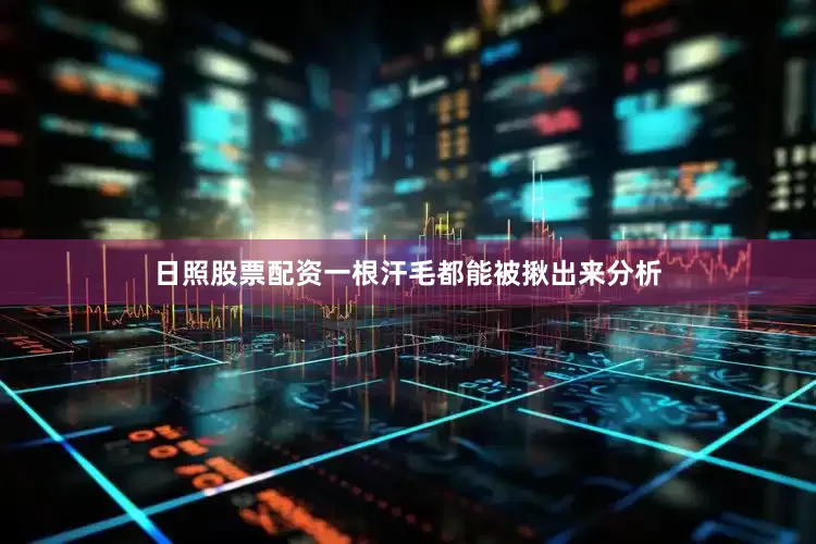 日照股票配资一根汗毛都能被揪出来分析